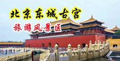 狂干美少妇22p中国北京-东城古宫旅游风景区
